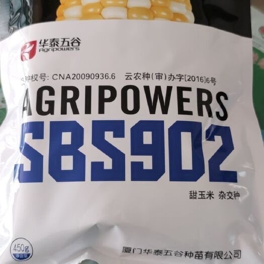通海县甜玉米种子 902双色玉米种子,甜玉米花超902  华泰五谷902