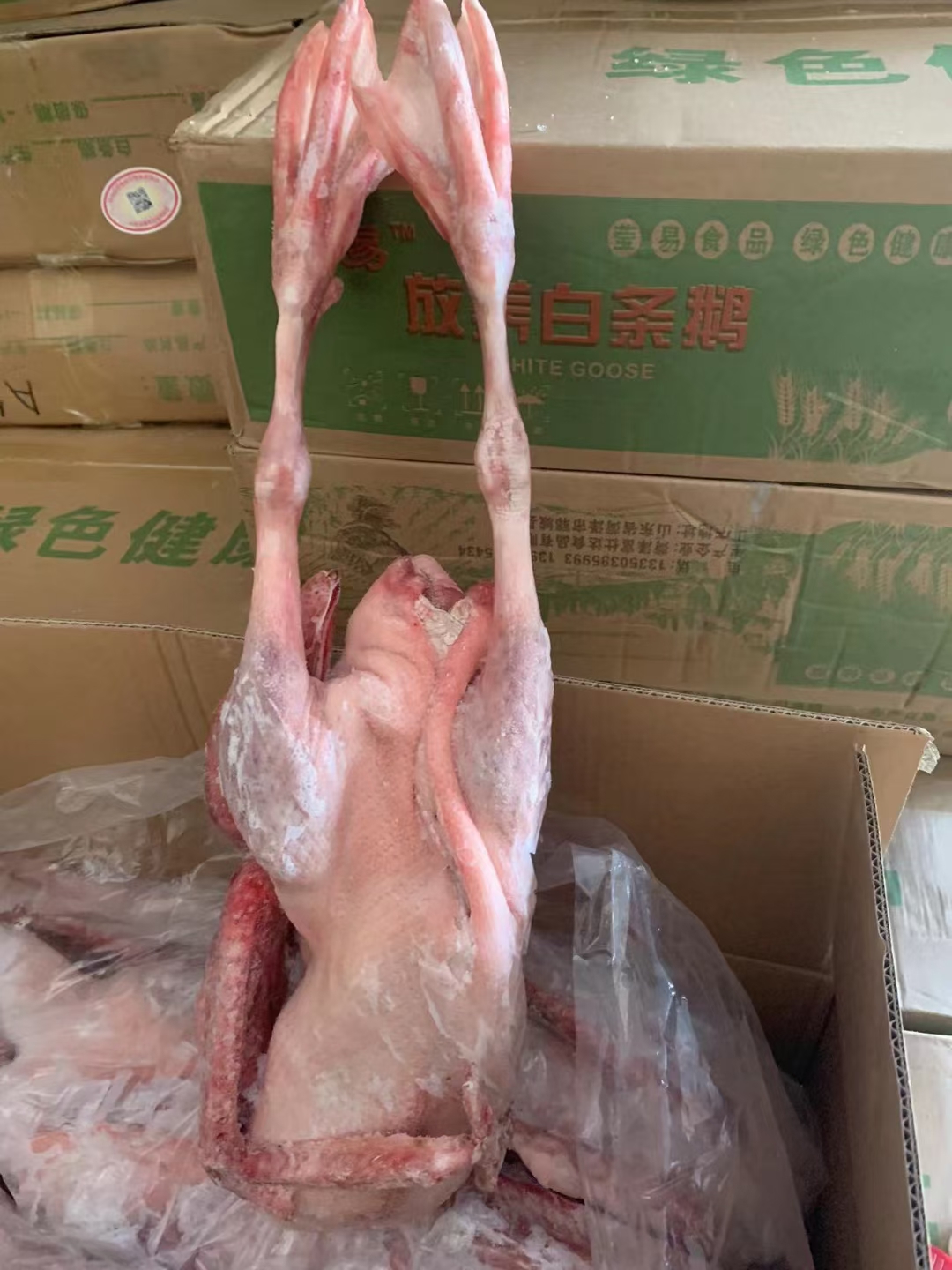 鹅肉类  肉鹅 鹅产品大全