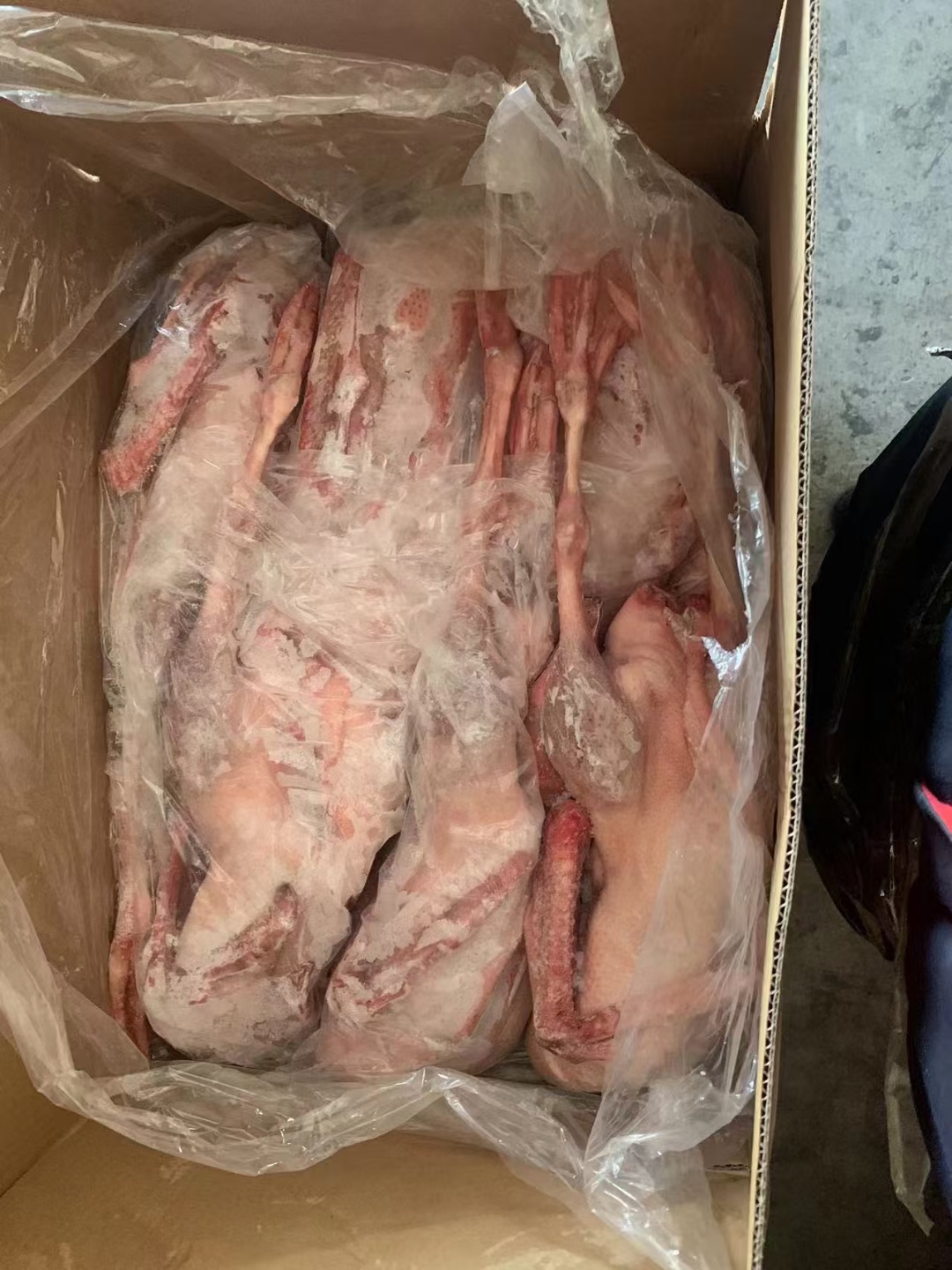 鹅肉类  肉鹅 鹅产品大全