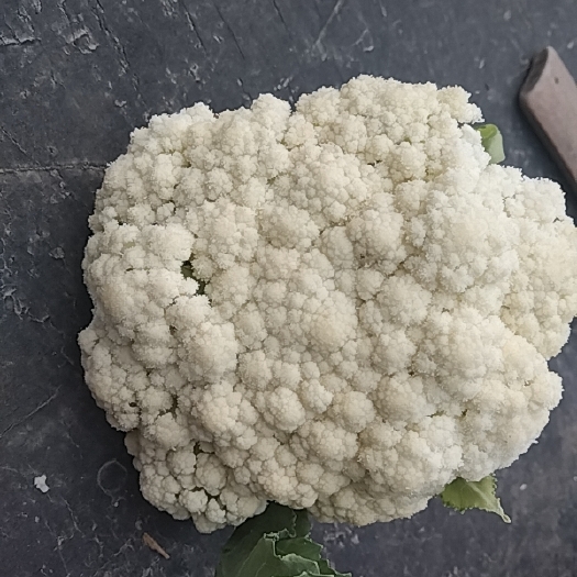 丰县花菜 菜花(青梗白面有机散花)