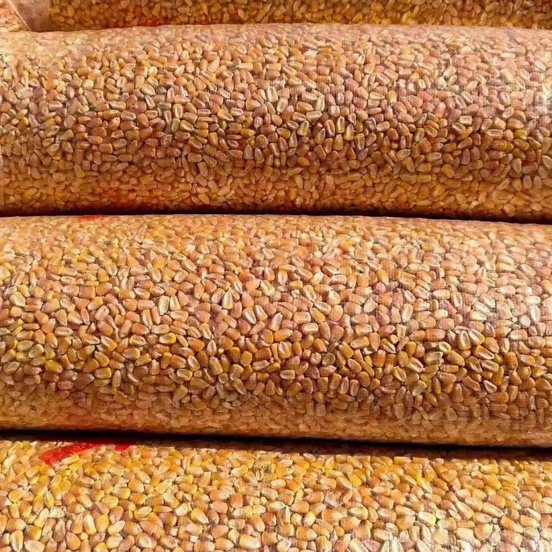 威宁彝族回族苗族自治县黄玉米粒 玉米粒透明装，，可以打包斤数大量有货