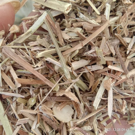 延津县花生秧   黄白绿