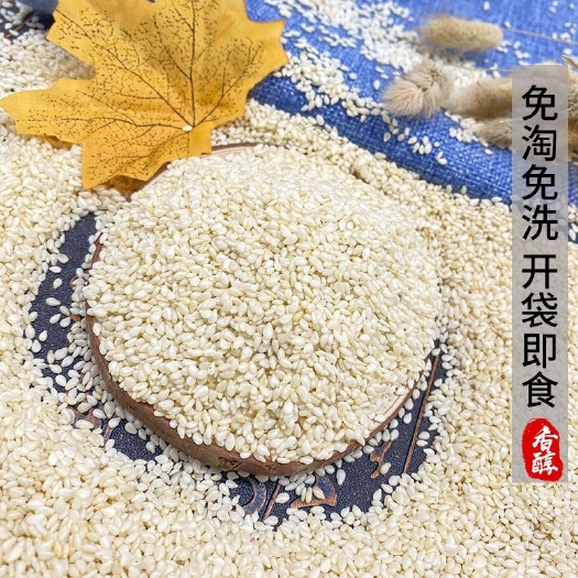 涉县熟白芝麻五斤包邮新货带皮芝麻仁油芝麻干净无沙可榨油非熟脱皮