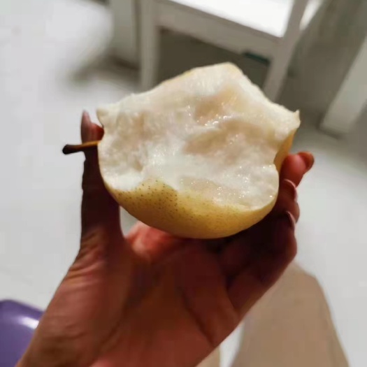 三原县壶口小蜜梨，皮薄，核小，汁水多，超级甜