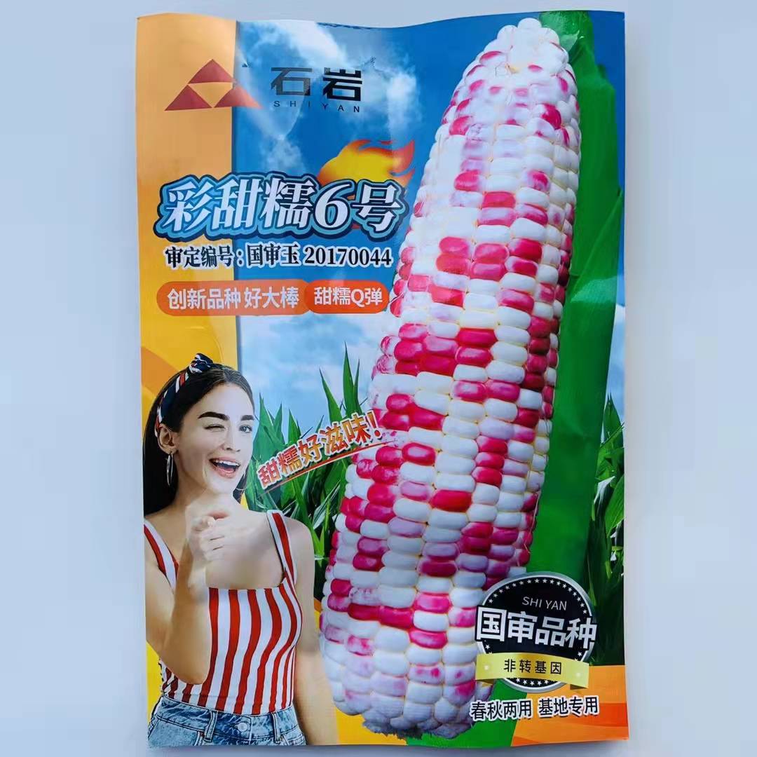 沭阳县甜玉米种子彩甜糯6号玉米种子糯玉米种子包邮抗病佳鲜食玉米