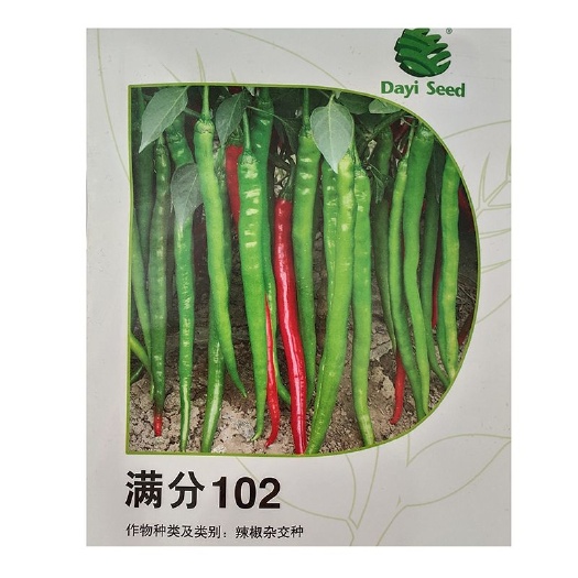寿光市辣椒种子 辣椒种籽满分102/215/308长线杭椒香辣早熟