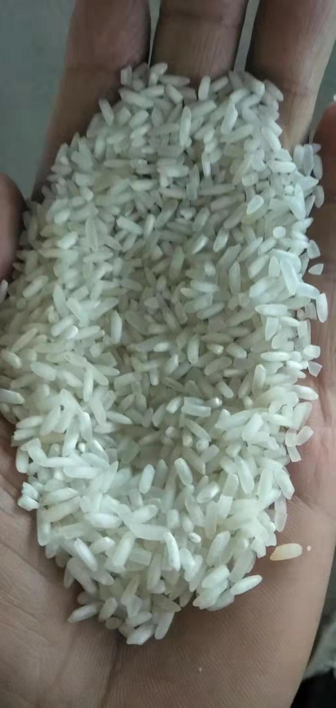 宁波籼米 大米， 早米， 食堂用米