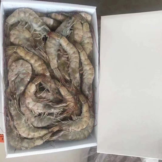 连云港对虾 盐冻大虾，冻虾界的大佬，口感与活虾无差别