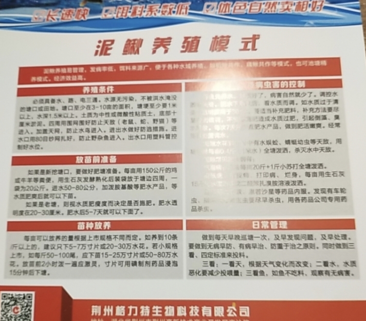 饲料鱼    格力特泥鳅膨化饲料