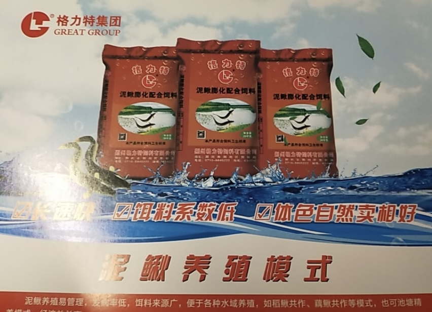 饲料鱼    格力特泥鳅膨化饲料