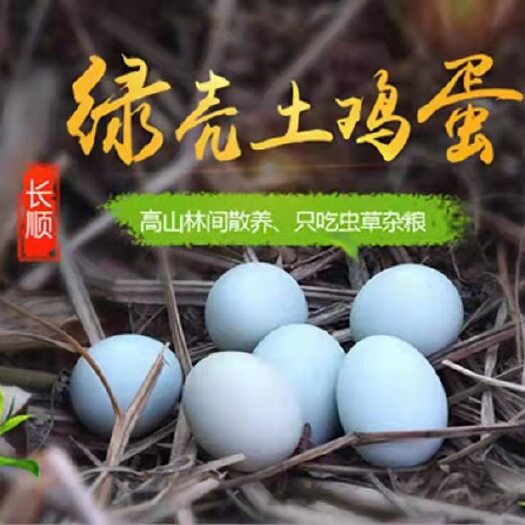 长顺县绿壳蛋 长顺绿壳鸡蛋