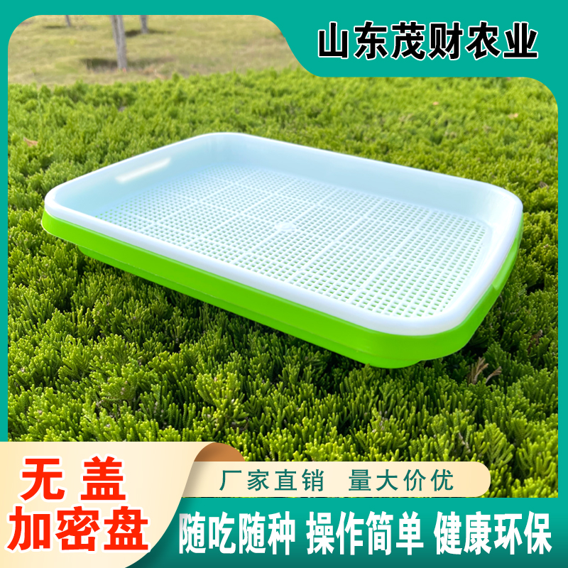 穴盘/育苗盘 双层加密盘育苗盘家庭用小型盘纸上种菜芽苗菜