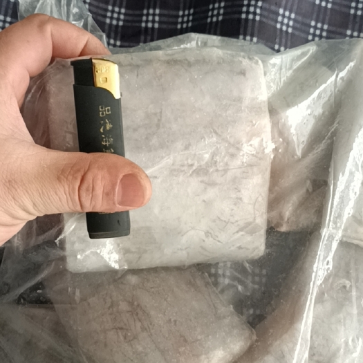 东港市 特大刀鱼段