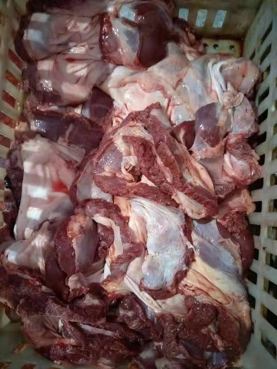 母猪护心肉