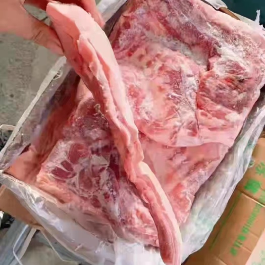 太康县猪肥膘 