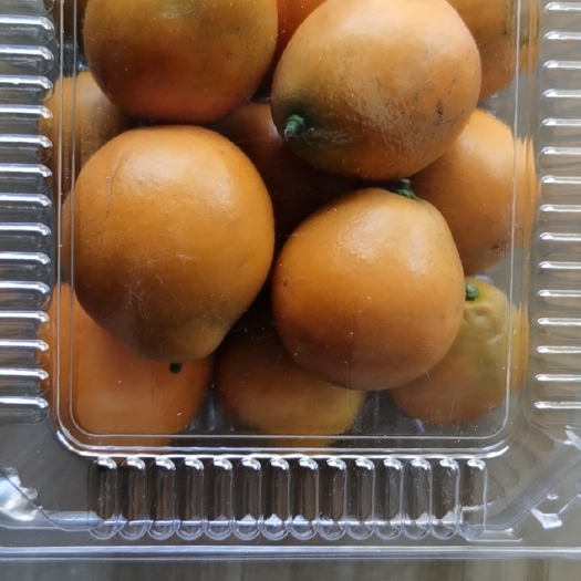 鹿寨县 柳州脆蜜金桔汁水多，肉嫩无籽化渣，一件起包邮