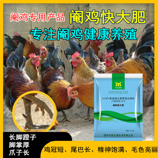 武陟县营养添加剂 阉鸡怎么长得又大又肥卖相好，用阉鸡快大肥，羽毛亮