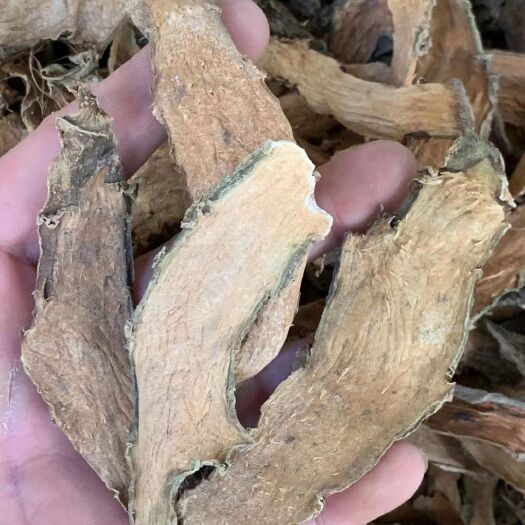 长期供应｛勒藕｝可批量可零售量大从优【包邮】