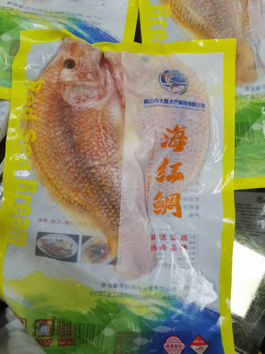 上海红鲷鱼 海红鲷条单价非常低 好吃不贵适合乡宴 烤鱼 剁椒