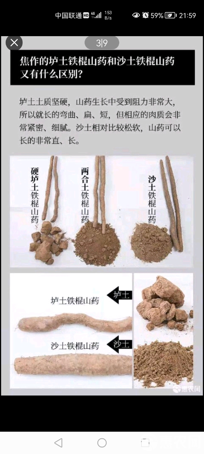 钻石版品质河南焦作温县垆土地铁棍山药   假一赔十