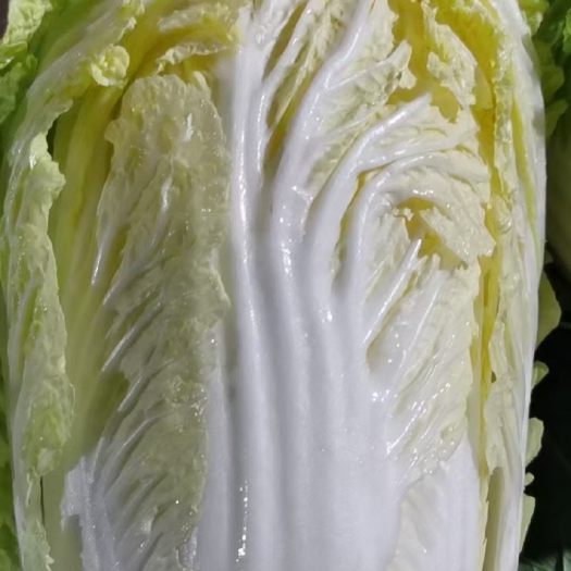 简阳市白菜黄心大白菜（145）走车价