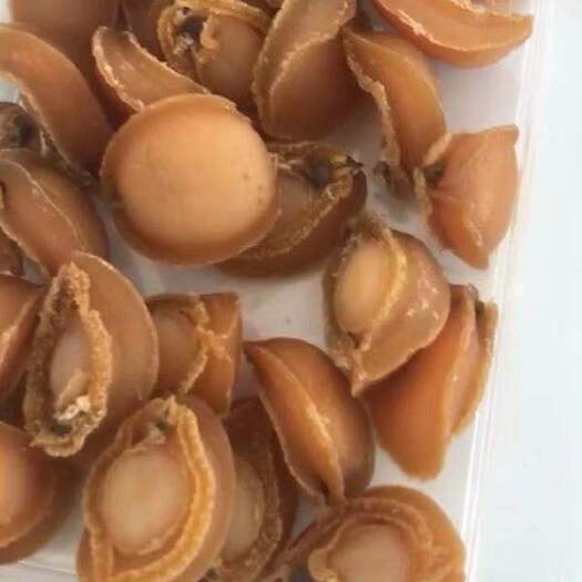 莆田鲍鱼干 南日干货