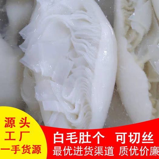 成都白毛肚个 白个子   整个牛百叶   厂家直销