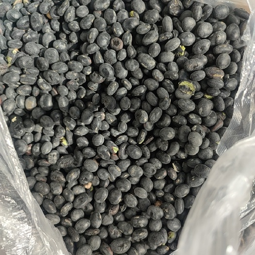 宿迁青仁黑豆，自家种的，数量不多，就收八百斤。