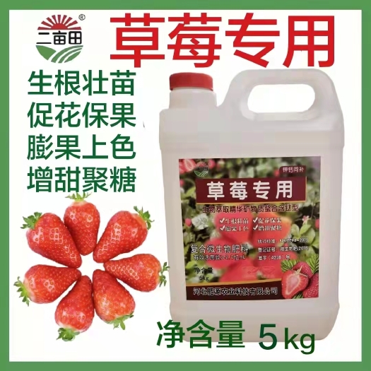 邯郸微量元素水溶肥 草莓专用肥，钙钾同补，促花保果，膨果上色，增
