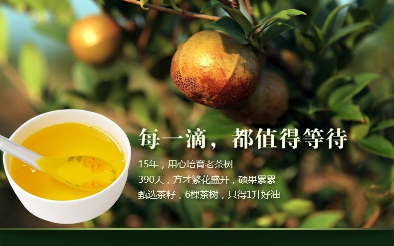 大余县赣南野生山茶油