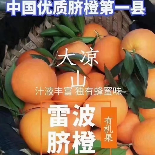 雷波县大凉山雷波脐橙