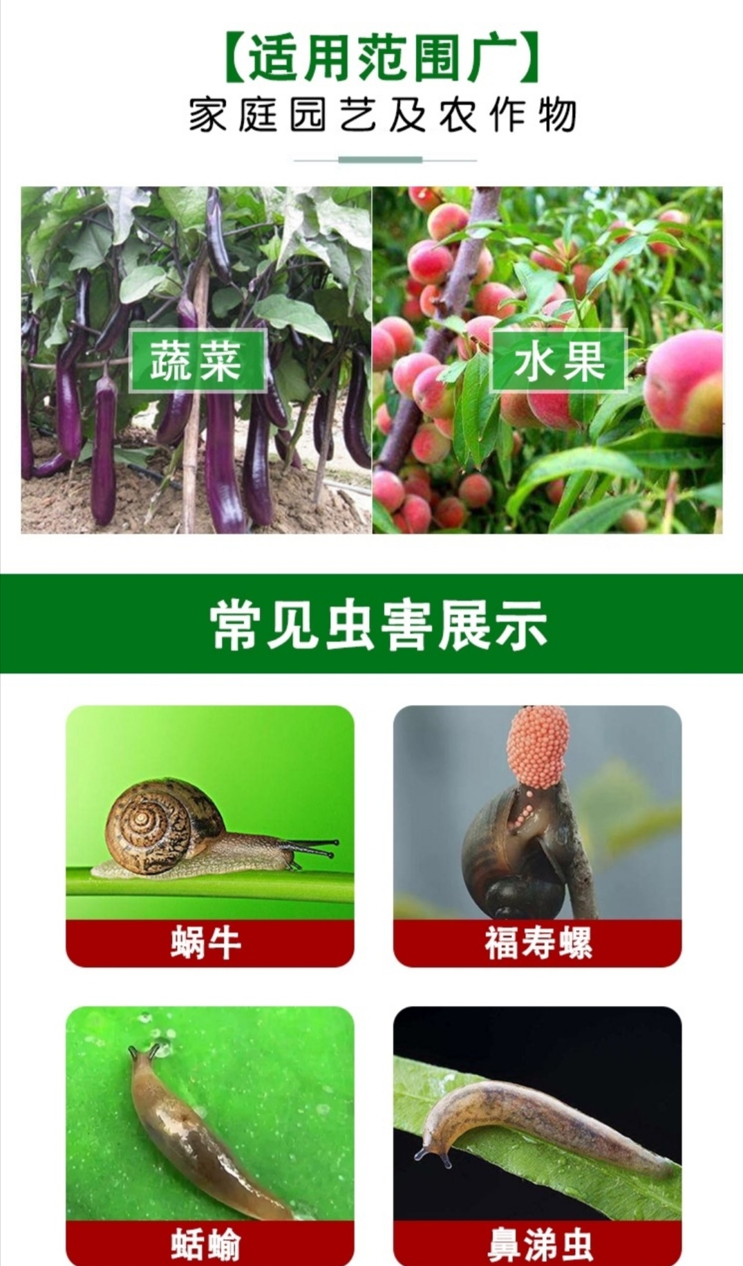 四聚乙醛批发 专杀菜园花园蜗牛 鼻涕虫 水稻福寿螺杀螺剂四聚乙醛价格5元 袋 惠农网触屏版