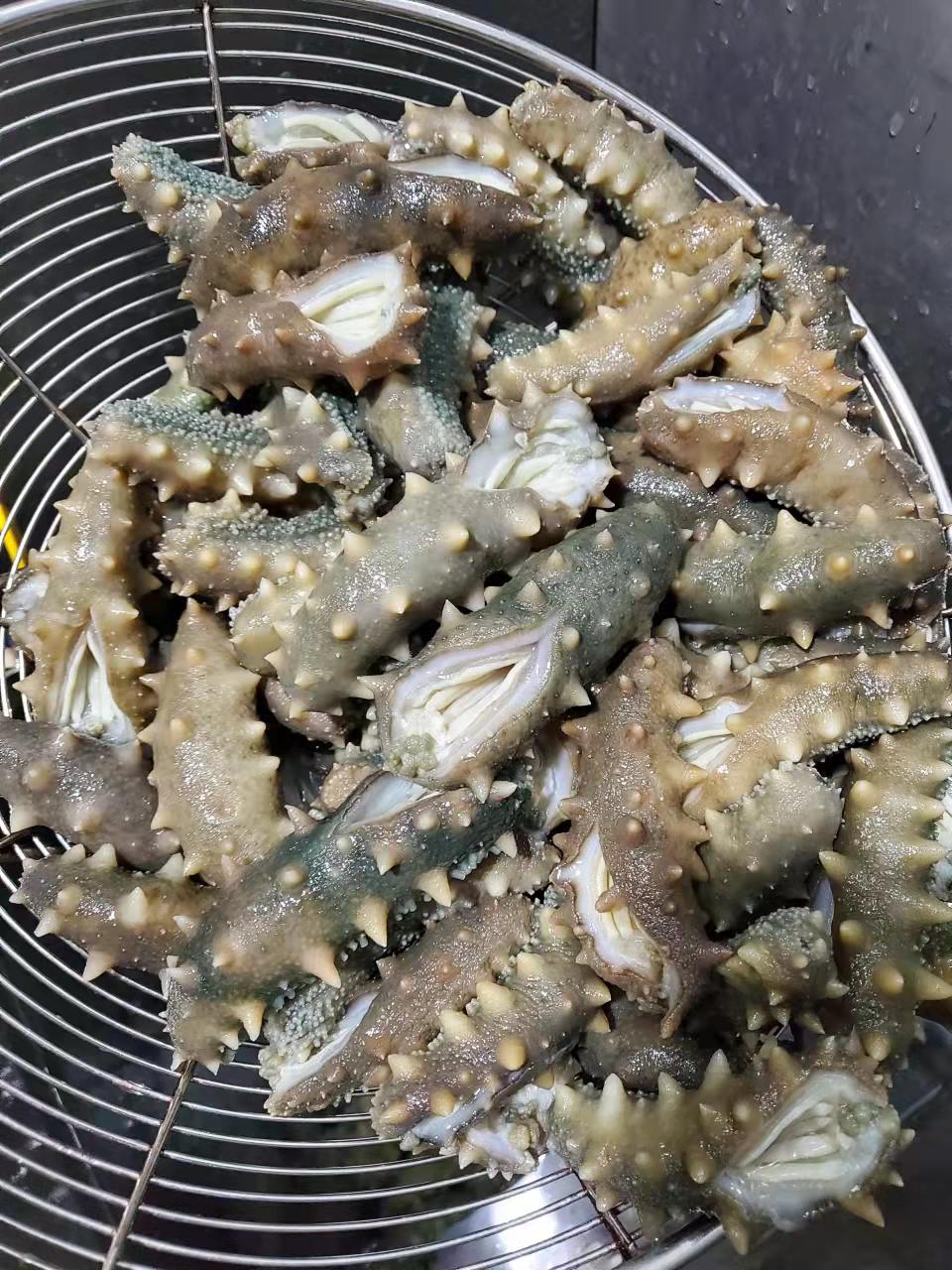 鲜食海参 辽参 即食海参