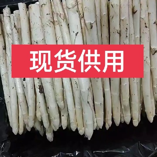 安丘市白芦笋  ，铺地暖生长的白芦笋春季上市每天量产10000斤。