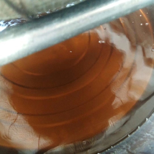 凤山县山茶油 寿乡精品茶油