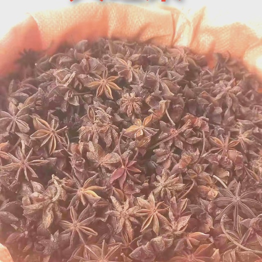 广州广西大红八角