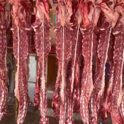 河间市满肉羊蝎子