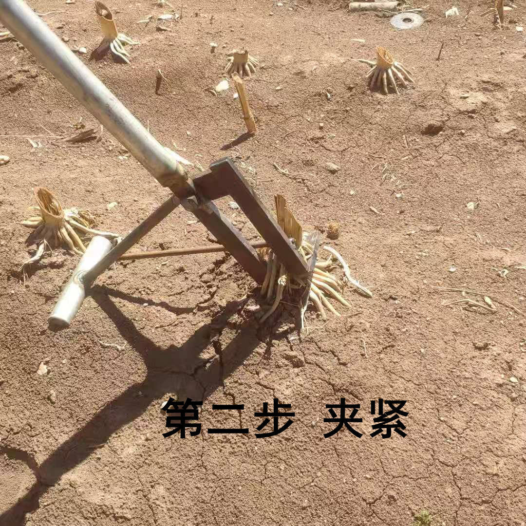 镐 拔秧苗根，茄秧辣椒秧根大头菜根等多种菜稞根省力农具