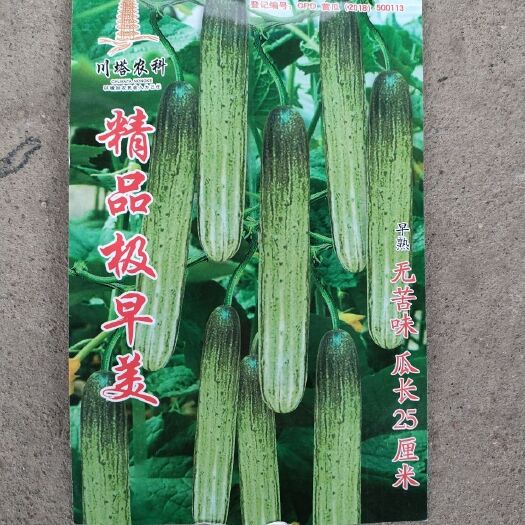 燕白黄瓜种子 川塔农科极早美黄瓜种子本地黄瓜10克无苦味