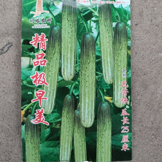 华容县燕白黄瓜种子 川塔农科极早美黄瓜种子本地黄瓜10克无苦味