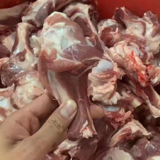郑州牛骨髓     多肉羊棒骨