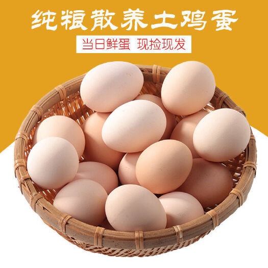 益阳土鸡蛋