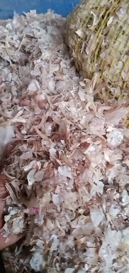 灵寿县 大蒜皮  牛羊饲料