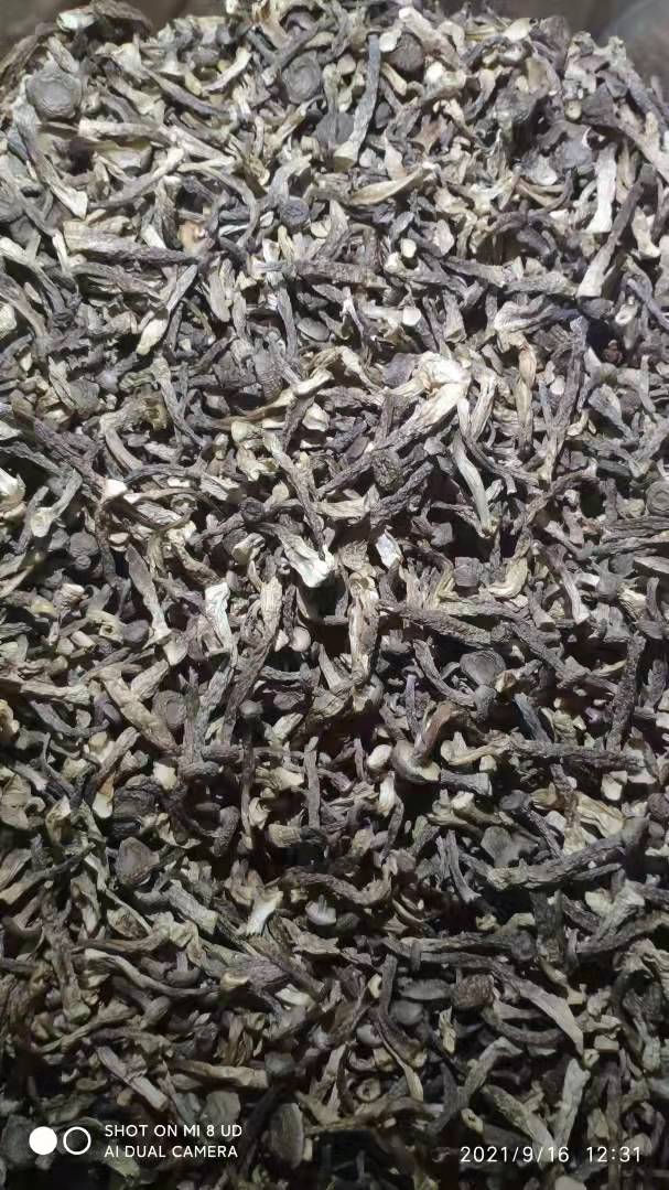 鹿茸菇 古田精选 厂家直销 去根鹿茸菌
