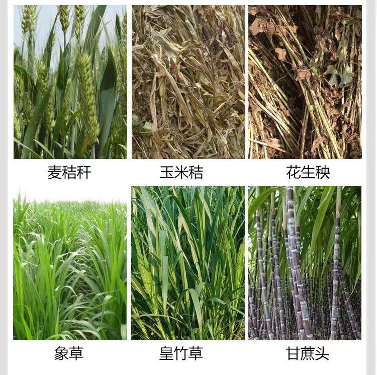  吉林秸秆粉碎铡草机 白山市薯类根茎饲料铡草机