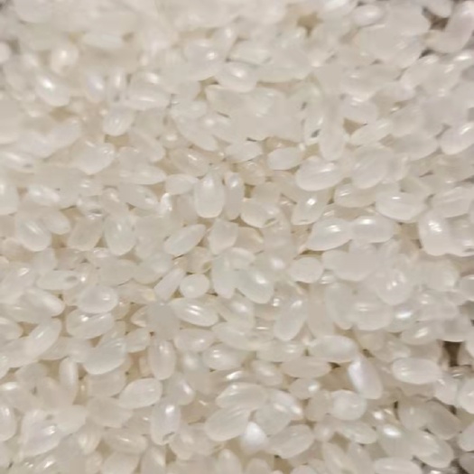 滦南县 粳米