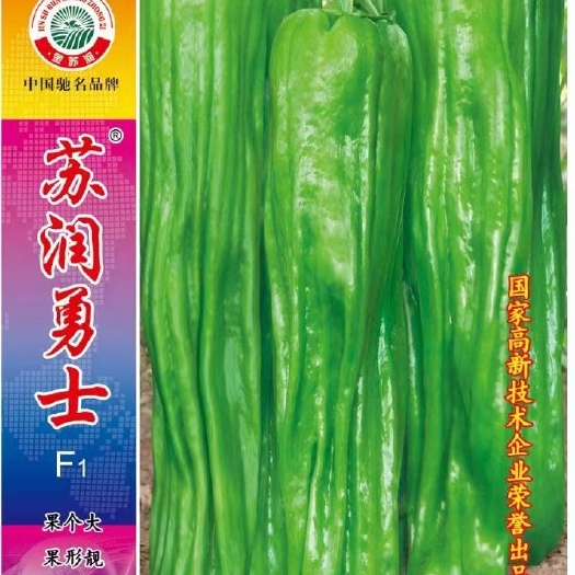 商丘薄皮辣椒种子 杂交种 预包装