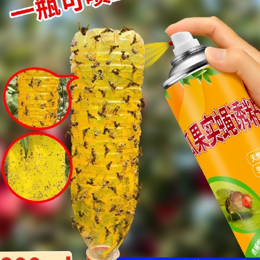 诱虫板 瓜果实蝇诱粘剂果蝇诱捕剂菜园果园果树诱虫剂