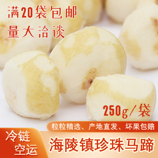 阳江珍珠马蹄新鲜荸荠去皮特产香糯椰子鸡火锅配料酒席酒店汤底小马