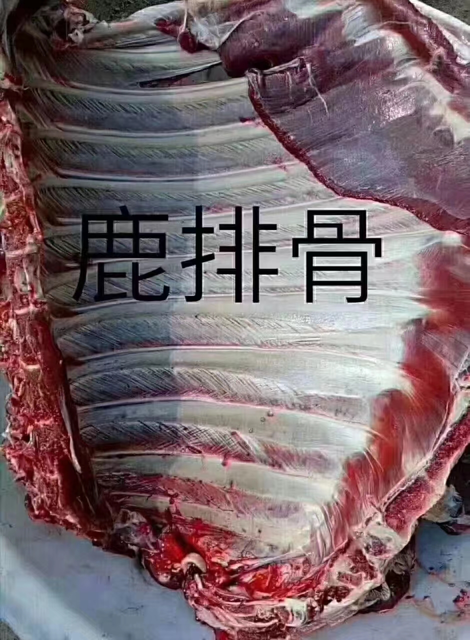 鹿肉梅花鹿排骨五斤一代真空包装营养美味